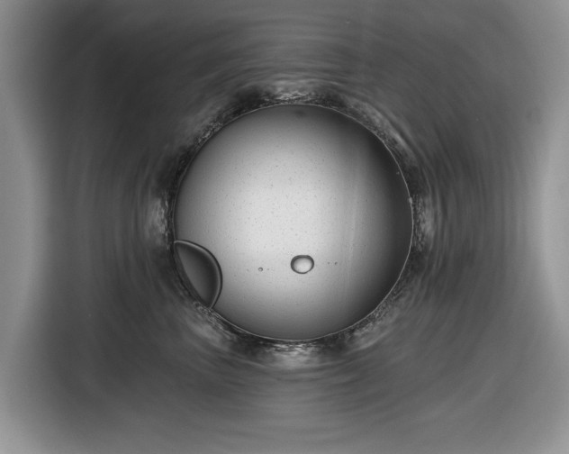 X0000116430667200912151019
