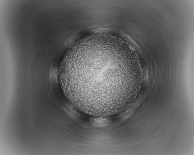 X0000116430669200912151019