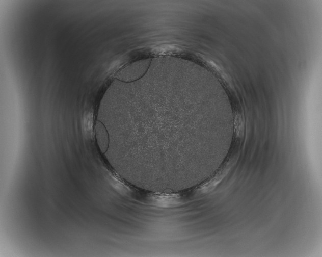 X0000116430670200912151019