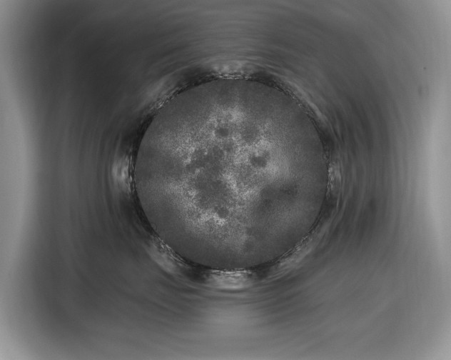 X0000116430671200912151019