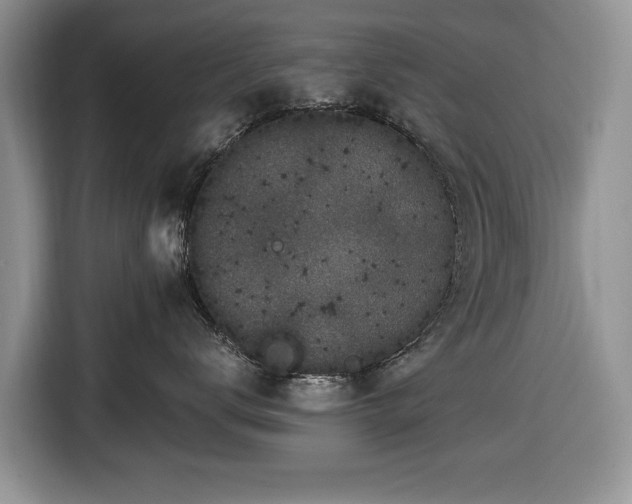 X0000116430672200912151019
