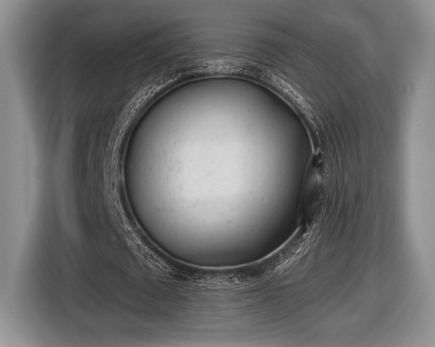 X0000116430673200912151019