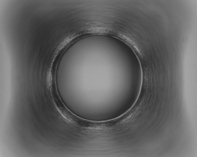 X0000116430674200912151019