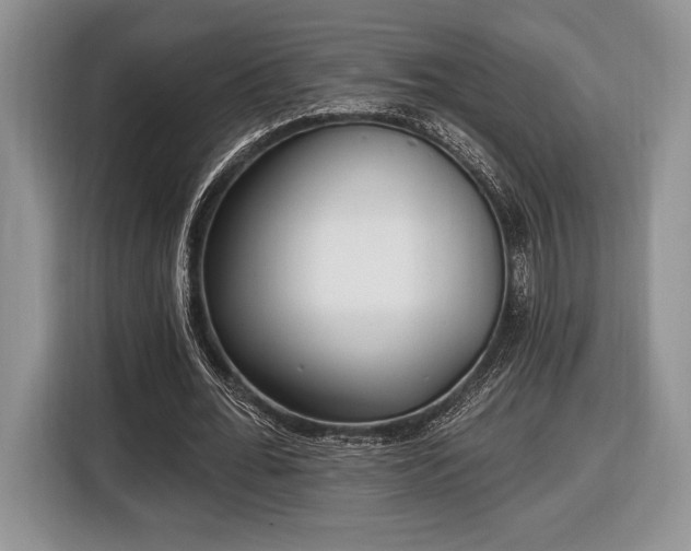 X0000116430676200912151019