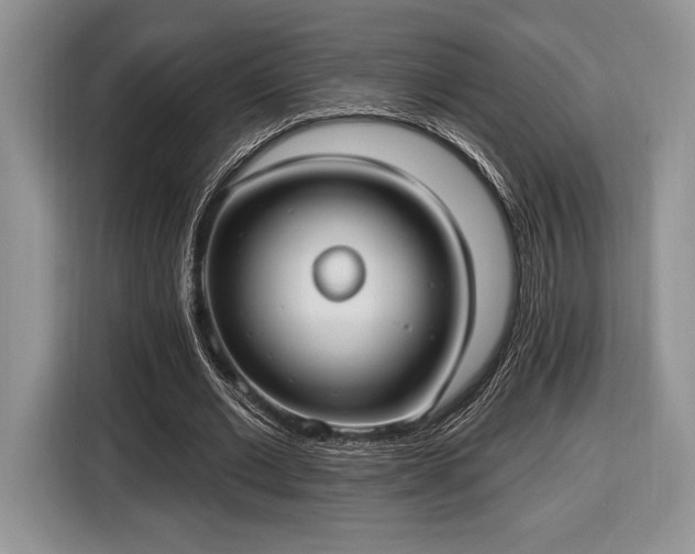 X0000116430677200912151019