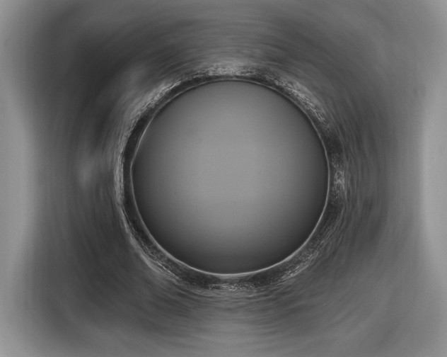 X0000116430678200912151019