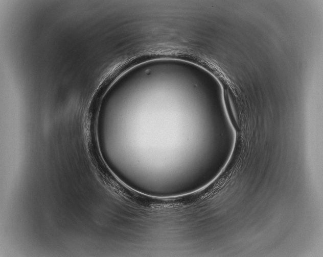 X0000116430679200912151019