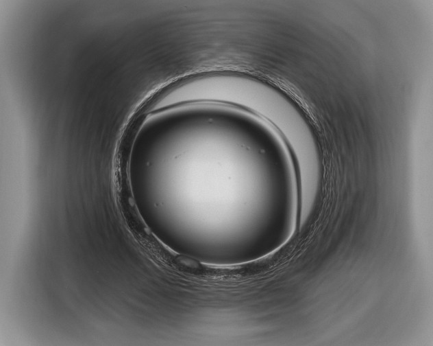 X0000116430680200912151019