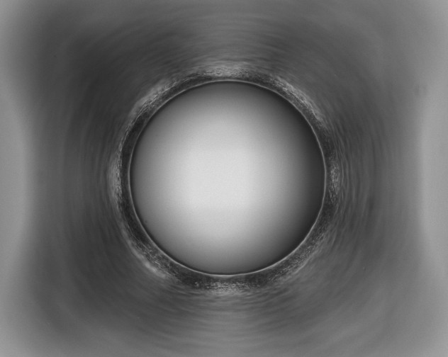 X0000116430682200912151019