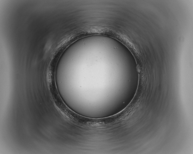X0000116430683200912151019