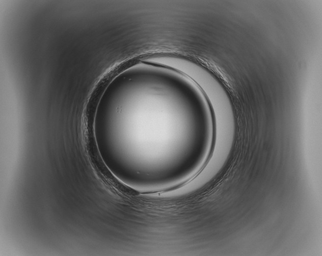 X0000116430684200912151019