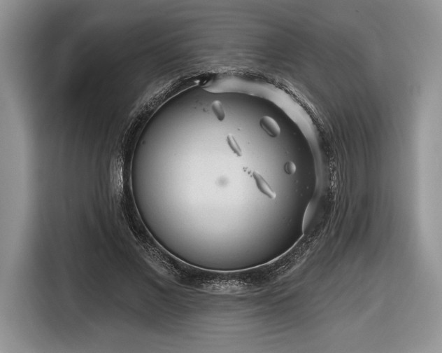 X0000116430685200912151018