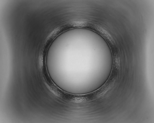 X0000116430686200912151018