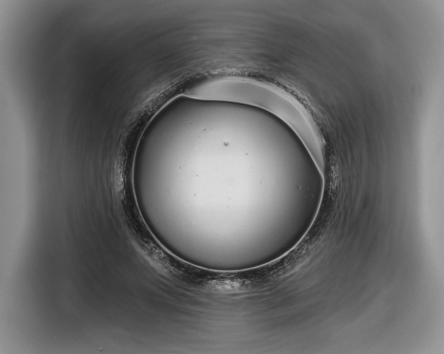 X0000116430687200912151018
