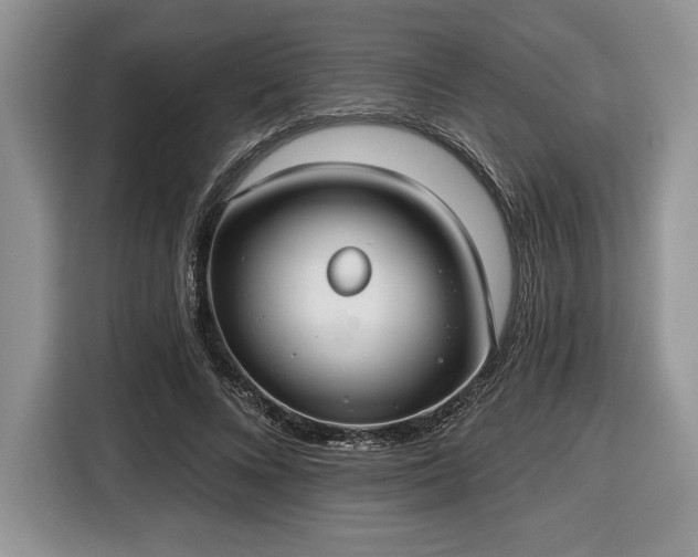 X0000116430688200912151018