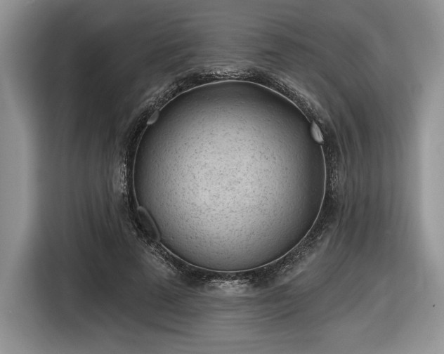 X0000116430689200912151018