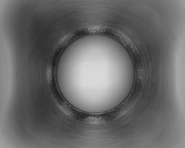 X0000116430690200912151018