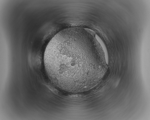 X0000116430691200912151018