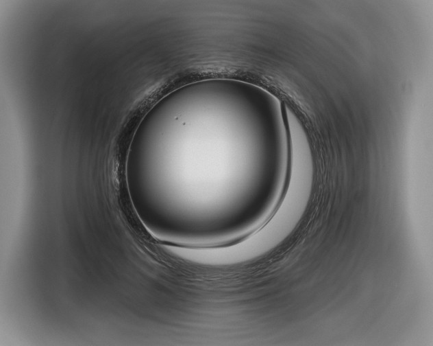 X0000116430692200912151018