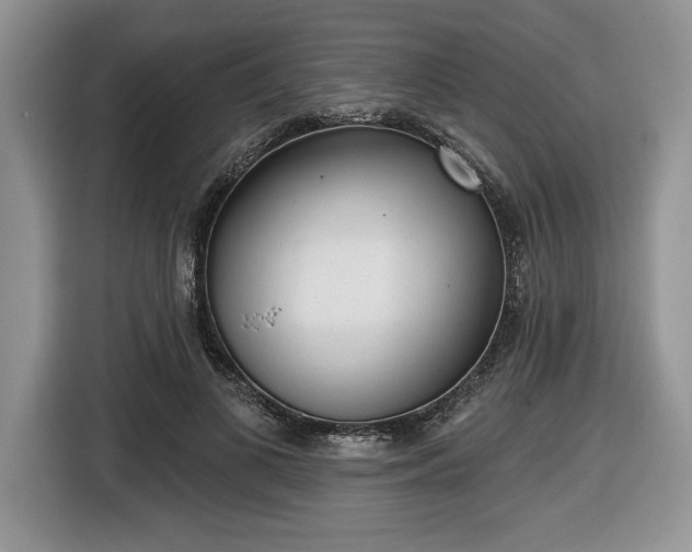 X0000116430693200912151018