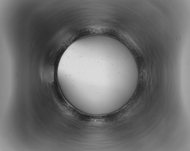 X0000116430694200912151018