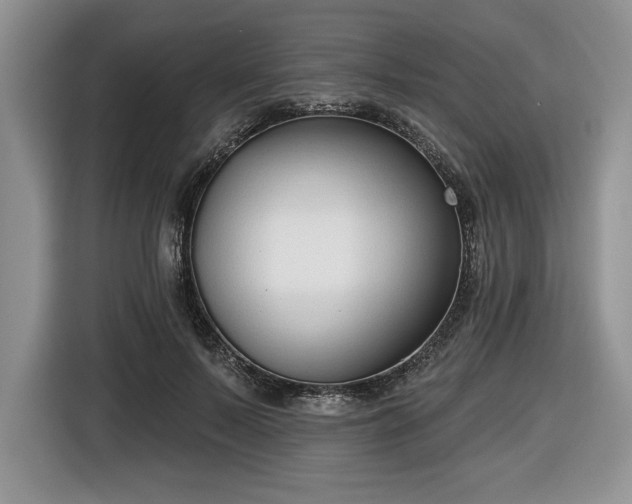 X0000116430695200912151018