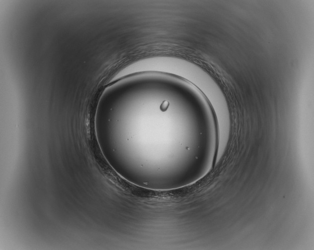 X0000116430696200912151018