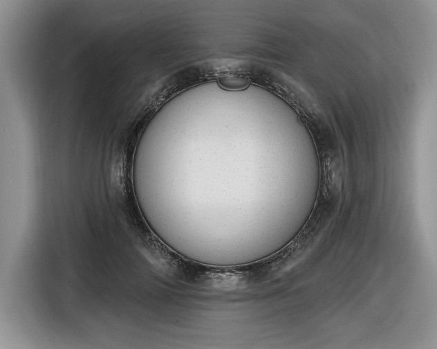 X0000116430698200912151018