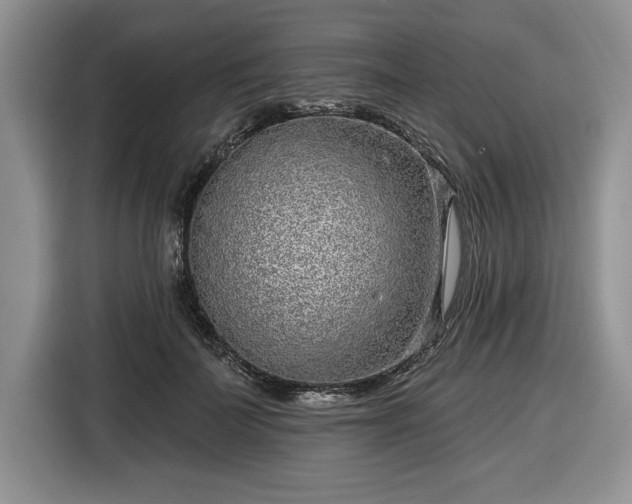 X0000116430699200912151018