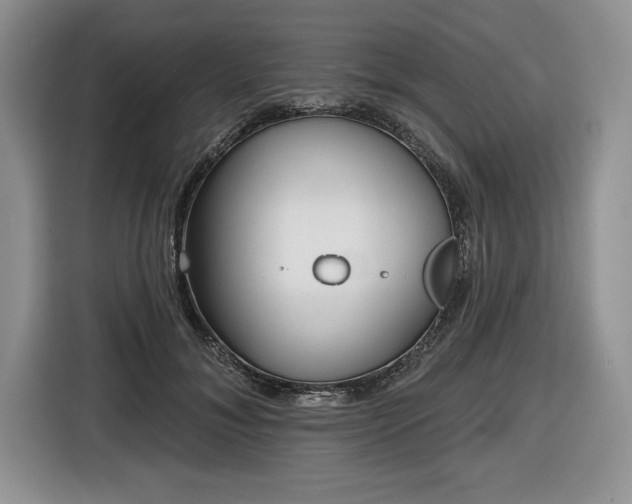 X0000116430700200912151018