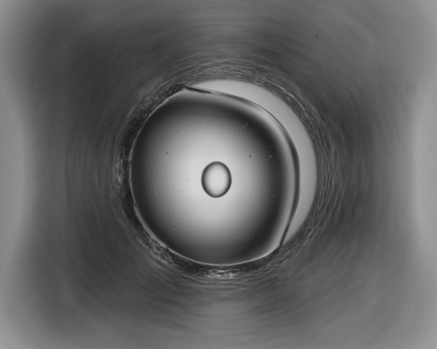 X0000116430701200912151018