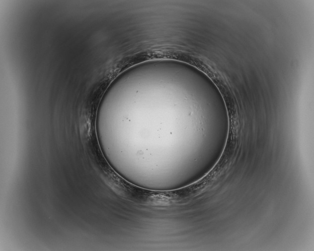 X0000116430703200912151018