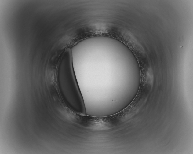 X0000116430704200912151018