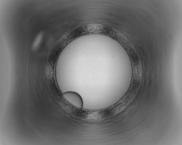 X0000116430705200912151018