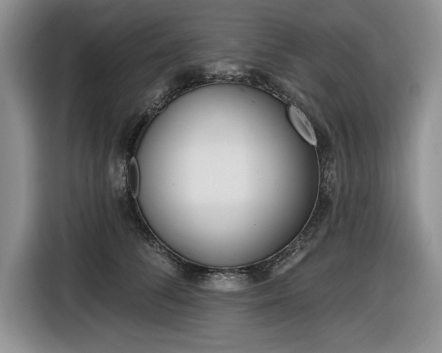 X0000116430708200912151018