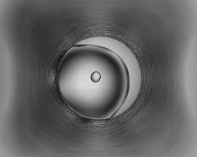 X0000116430709200912151018