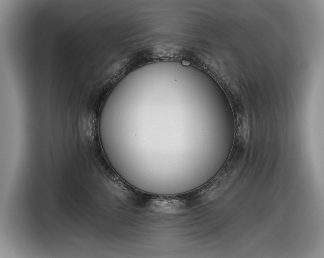 X0000116430712200912151018