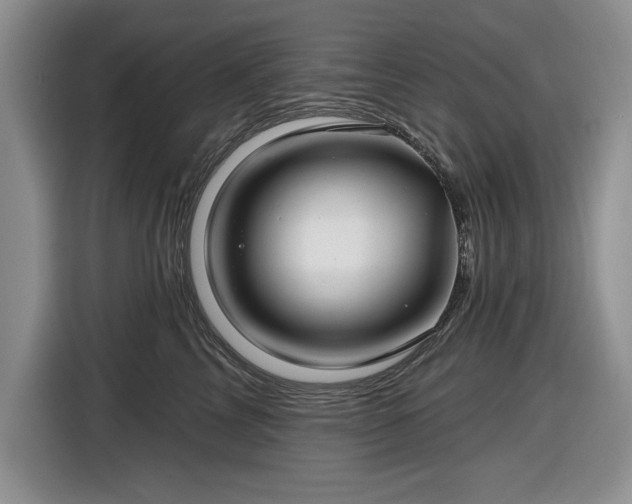 X0000116430713200912151018
