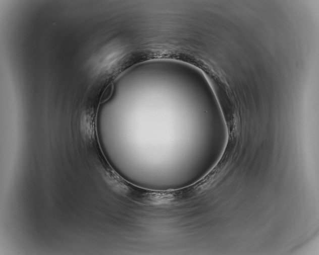 X0000116430719200912151018