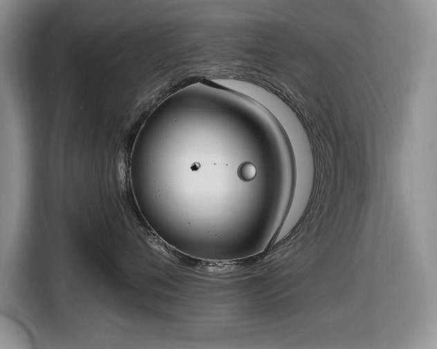 X0000116430720200912151018