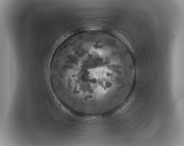 X0000116430721200912151017