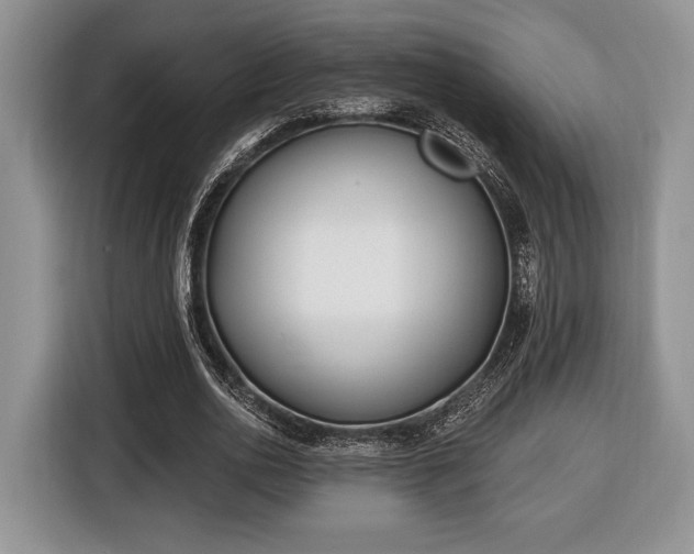 X0000116430726200912151017