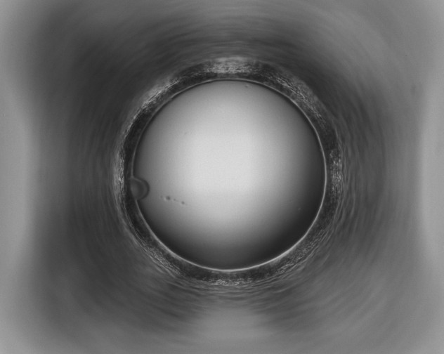 X0000116430727200912151017