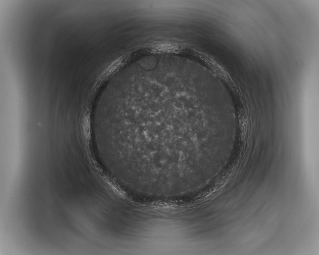X0000116430729200912151018