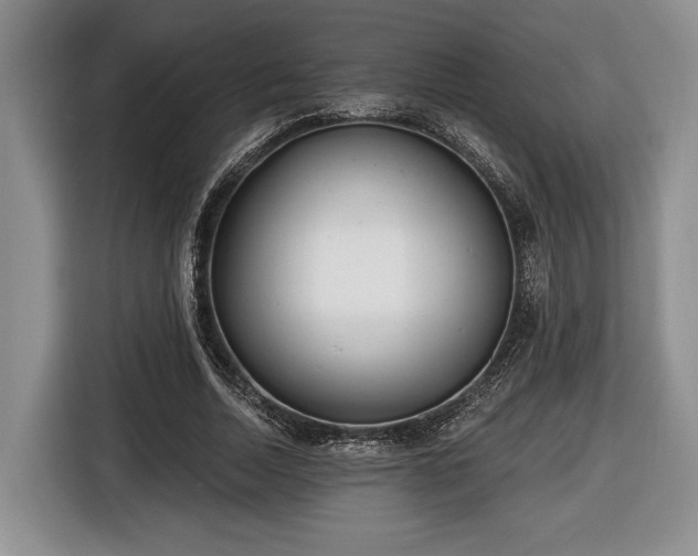 X0000116430730200912151018