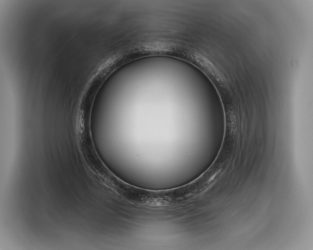 X0000116430731200912151018