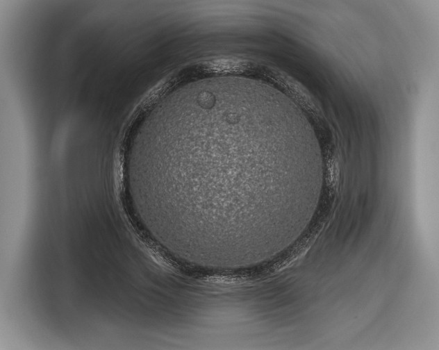 X0000116430733200912151018