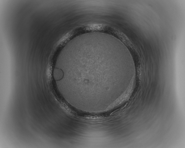 X0000116430735200912151018