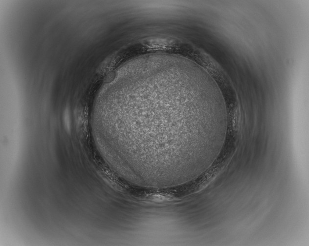 X0000116430737200912151018