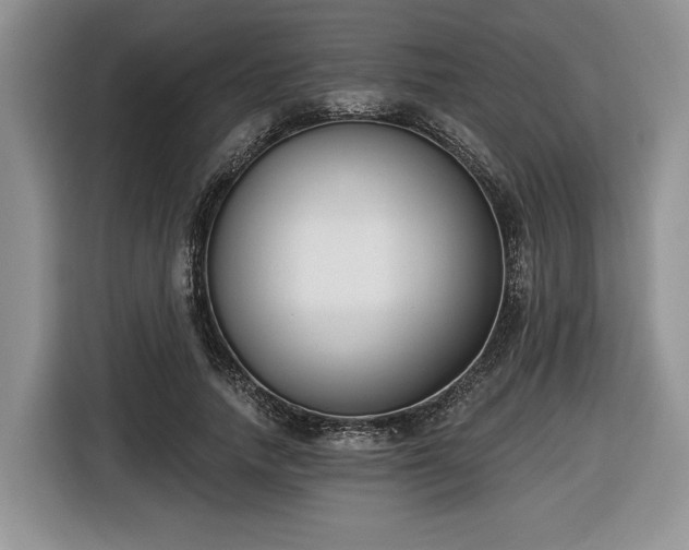 X0000116430738200912151018